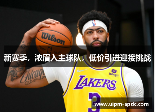 新赛季，浓眉入主球队，低价引进迎接挑战